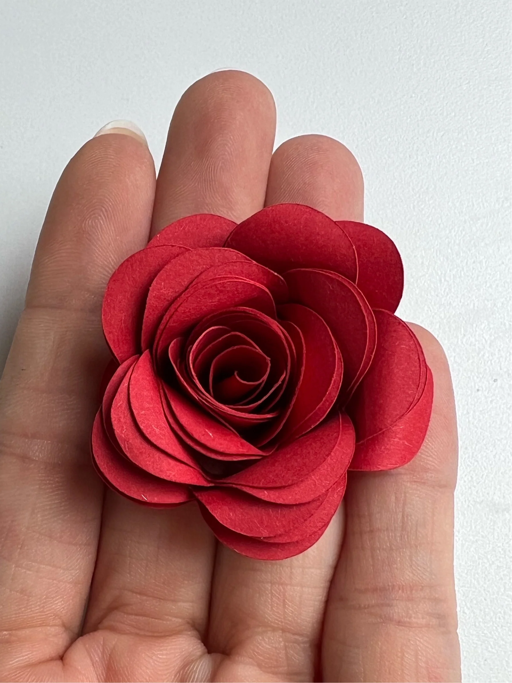 Blume Poppy SVG - Image 2